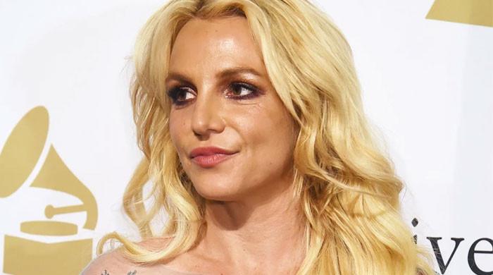 Britney Spears' home allegedly hit by robbers who swiped all her jewellery