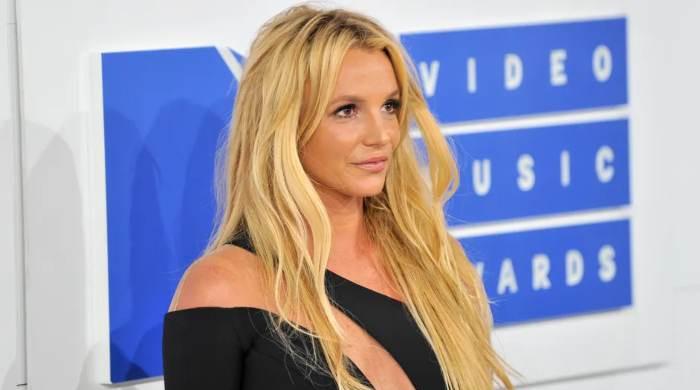 Britney Spears's family feels she needs 'help' after hotel fight incident