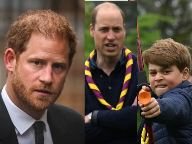 Prince Harry's heartache as Prince William reveals George's high-flying aspirations