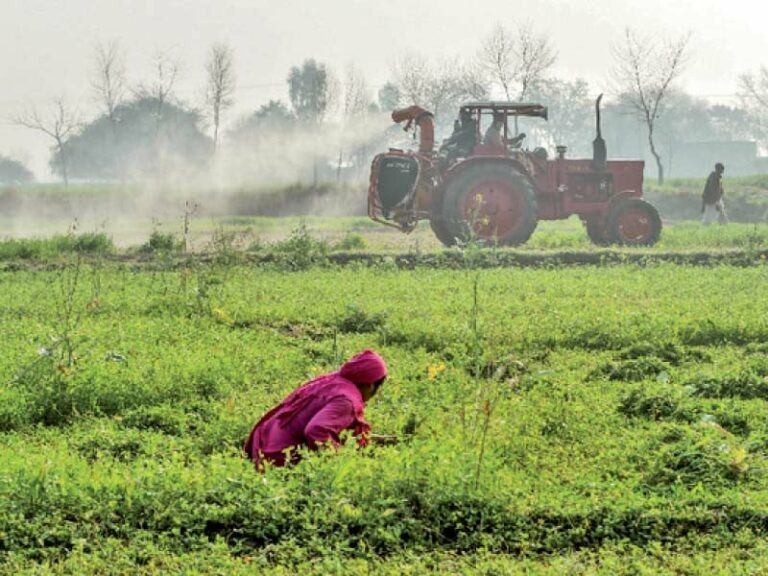 ‘Academia-industry nexus must for food security’