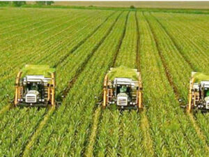 zeeshan baig general manager at syngenta pakistan underlined the need for a comprehensive government strategy to harness innovation particularly in the agriculture sector photo file