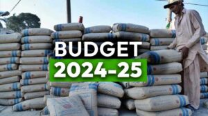 Budget 2024-25: FED on cement increased – Check new rates