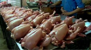 Chicken prices in Lahore, other cities decrease – Check latest rate on June 24