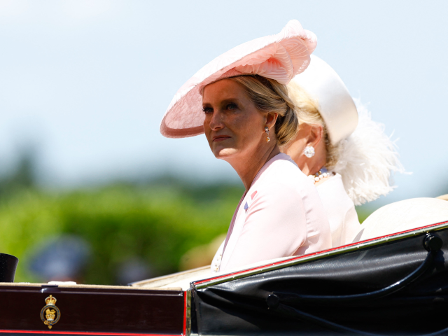 Duchess Sophie’s absence from banquet sparks concern among fans