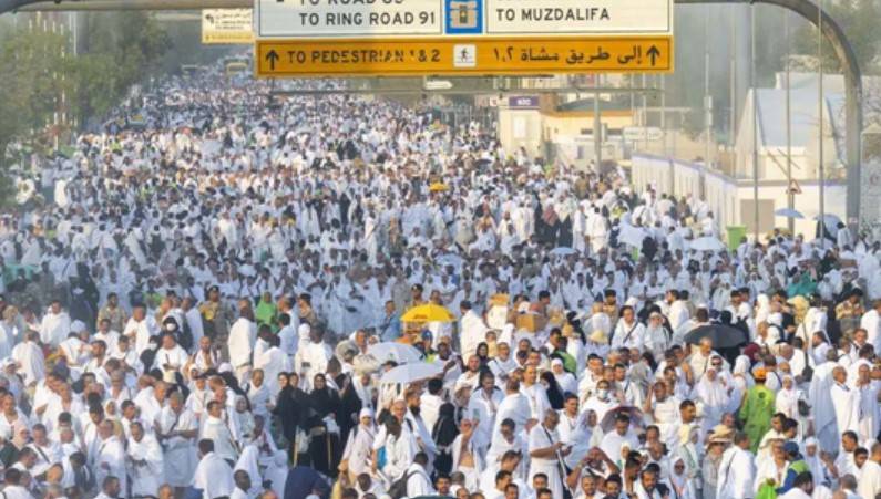 How many Pakistani pilgrims died during Hajj 2024?