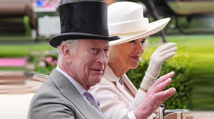 King Charles, Queen Camilla get spotlight during latest outing