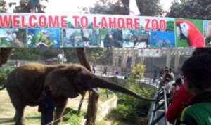 Lahore Zoo welcomes visitors with new Animals; Check special Eid Timings here