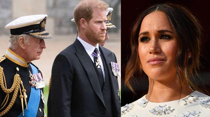 Meghan Markle risks destroying 'compelling link' between King Charles, Harry