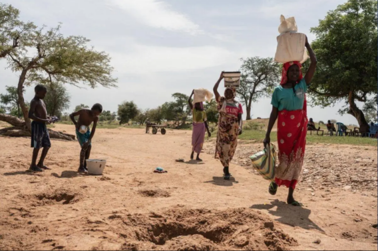 Over 600,000 Sudanese refugees flee to Chad amid growing conflict: UNHCR