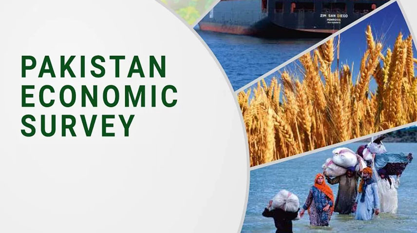 Pakistan Economic Survey 2023-24 to be unveiled today