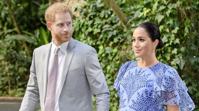 Prince Harry, Meghan Markle's lives under 'threat'