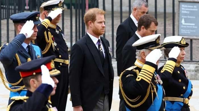 Prince Harry to be welcomed by King Charles at Trooping the Colour