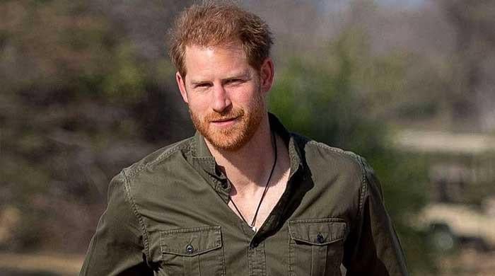 Prince Harry's police protection case takes new turn