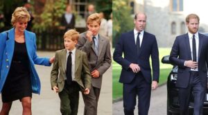 Prince William beats Prince Harry to carry on mum Diana's work