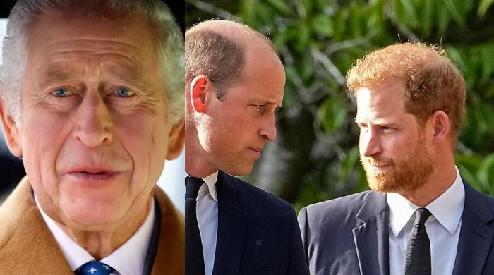 Prince William holds greater respect for King Charles than Prince Harry