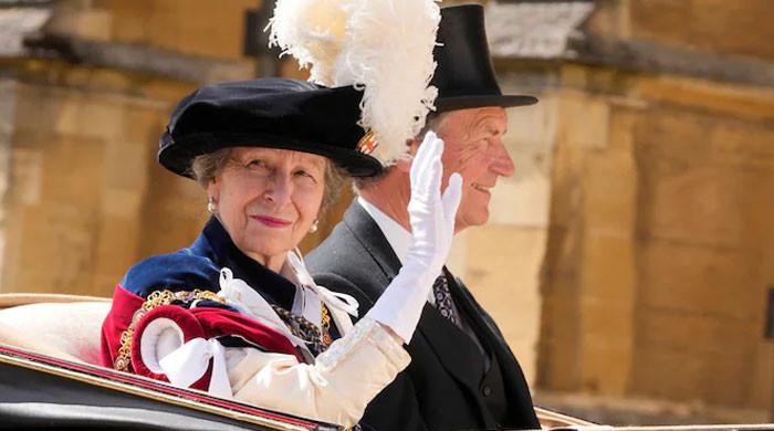 Princess Anne's gets nominated to become UK's President