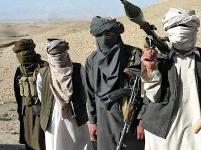 TTP ringleader killed in Afghanistan